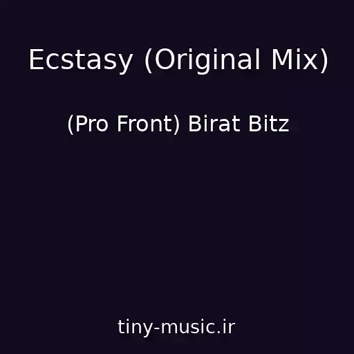 کاور آهنگ Ecstasy (Original Mix) از (Pro Front) Birat Bitz