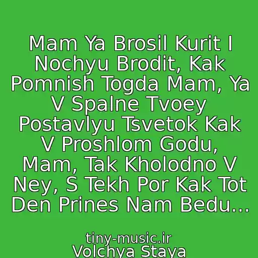 کاور آهنگ Mam Ya Brosil Kurit I Nochyu Brodit, Kak Pomnish Togda Mam, Ya V Spalne Tvoey Postavlyu Tsvetok Kak V Proshlom Godu, Mam, Tak Kholodno V Ney, S Tekh Por Kak Tot Den Prines Nam Bedu... از Volchya Staya