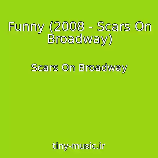 کاور آهنگ Funny (2008 - Scars On Broadway) از Scars On Broadway