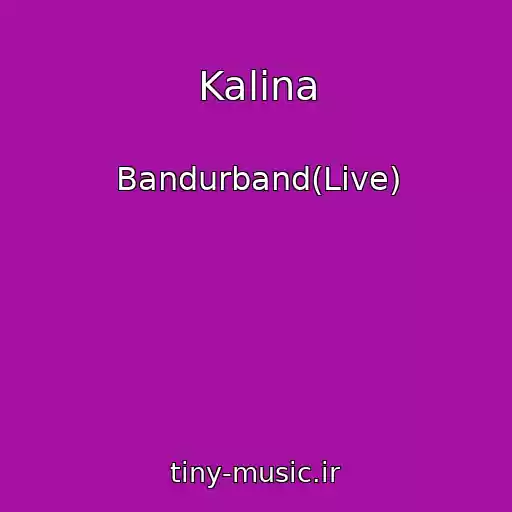 کاور آهنگ Kalina از Bandurband(Live)