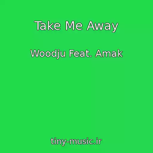 کاور آهنگ Take Me Away از Woodju Feat. Amak