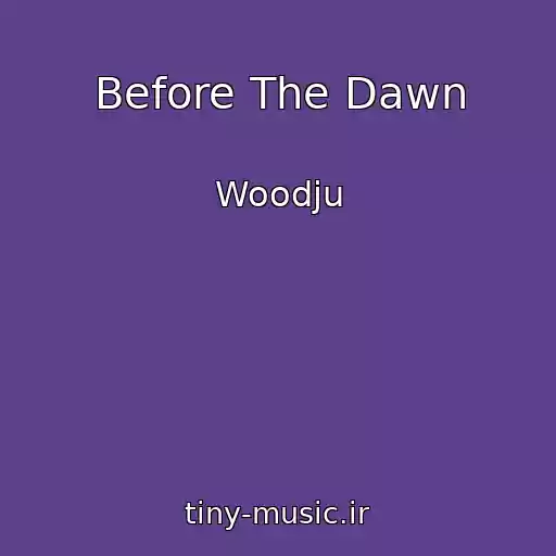 کاور آهنگ Before The Dawn از Woodju