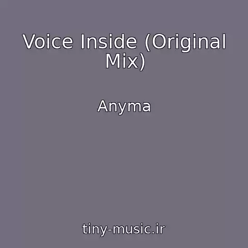کاور آهنگ Voice Inside (Original Mix) از Anyma