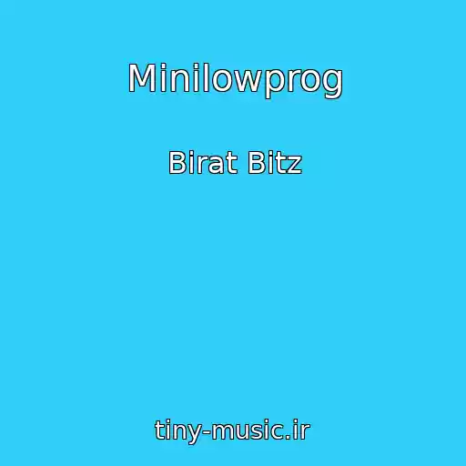 کاور آهنگ Minilowprog از Birat Bitz