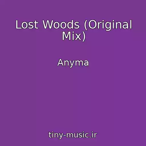 کاور آهنگ Lost Woods (Original Mix) از Anyma
