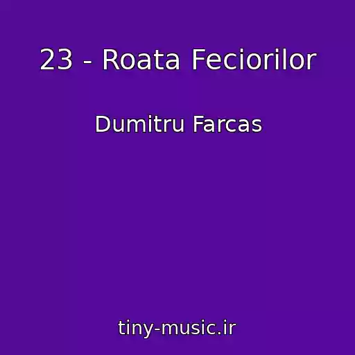 کاور آهنگ 23 - Roata Feciorilor از Dumitru Farcas