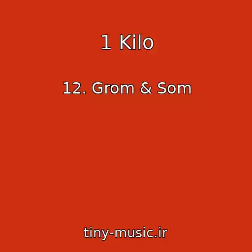 کاور آهنگ 1 Kilo از 12. Grom & Som