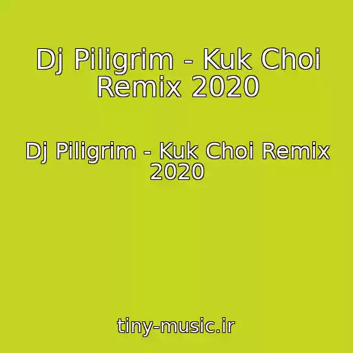 کاور آهنگ Dj Piligrim - Kuk Choi Remix 2020 از Dj Piligrim - Kuk Choi Remix 2020