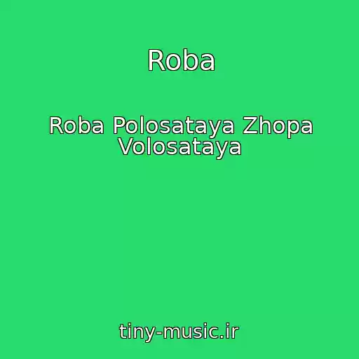 کاور آهنگ Roba از Roba Polosataya Zhopa Volosataya