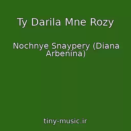 کاور آهنگ Ty Darila Mne Rozy از Nochnye Snaypery (Diana Arbenina)