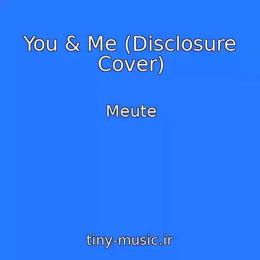 کاور آهنگ You & Me (Disclosure Cover) از Meute