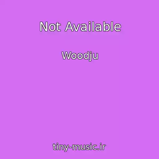 کاور آهنگ Not Available از Woodju