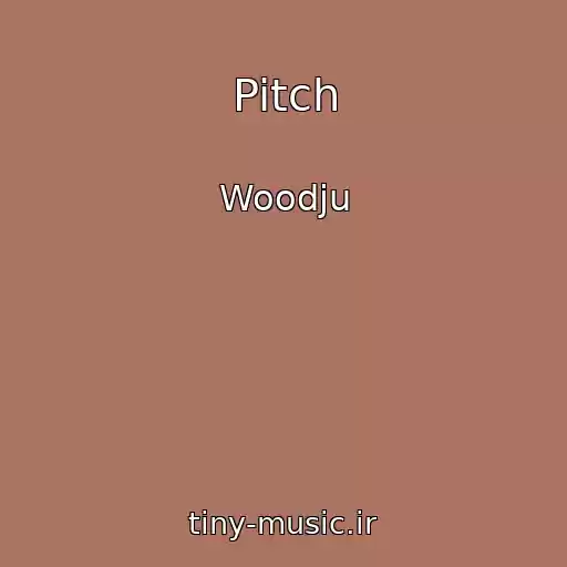 کاور آهنگ Pitch از Woodju