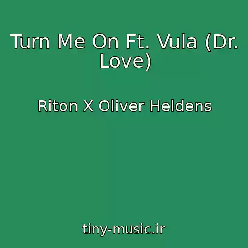 کاور آهنگ Turn Me On Ft. Vula (Dr. Love) از Riton X Oliver Heldens