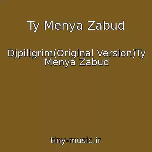 کاور آهنگ Ty Menya Zabud از Djpiligrim(Original Version)Ty Menya Zabud