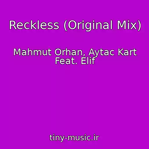 کاور آهنگ Reckless (Original Mix) از Mahmut Orhan, Aytac Kart Feat. Elif