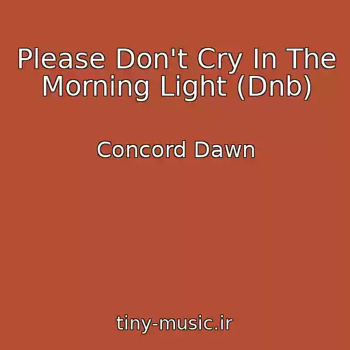 کاور آهنگ Please Don't Cry In The Morning Light (Dnb) از Concord Dawn