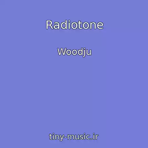 کاور آهنگ Radiotone از Woodju