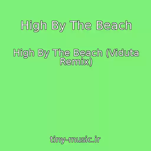 کاور آهنگ High By The Beach از High By The Beach (Viduta Remix)
