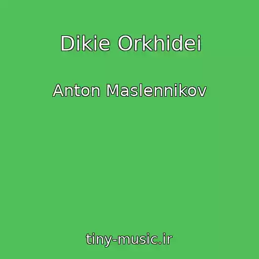 کاور آهنگ Dikie Orkhidei از Anton Maslennikov