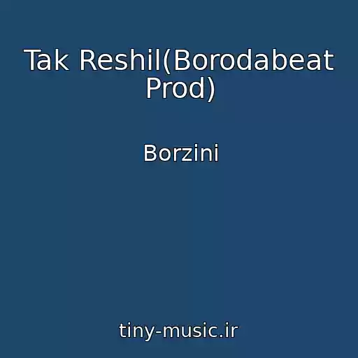 کاور آهنگ Tak Reshil(Borodabeat Prod) از Borzini