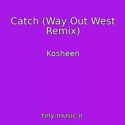 کاور آهنگ Catch (Way Out West Remix) از Kosheen