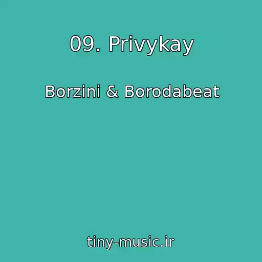 کاور آهنگ 09. Privykay از Borzini & Borodabeat