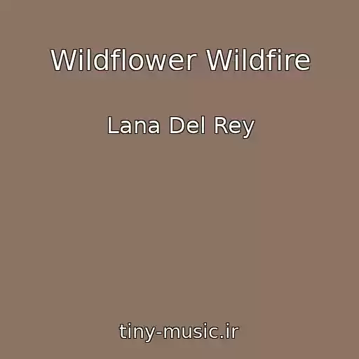 کاور آهنگ Wildflower Wildfire از Lana Del Rey