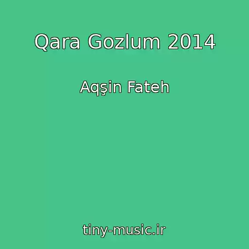 کاور آهنگ Qara Gozlum 2014 از Aqşin Fateh
