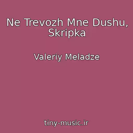 کاور آهنگ Ne Trevozh Mne Dushu, Skripka از Valeriy Meladze
