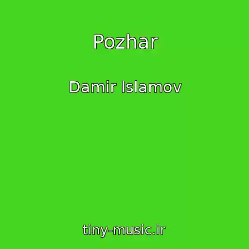 کاور آهنگ Pozhar از Damir Islamov