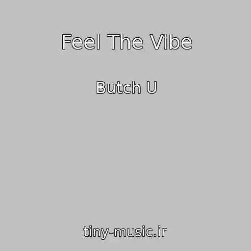 کاور آهنگ Feel The Vibe از Butch U