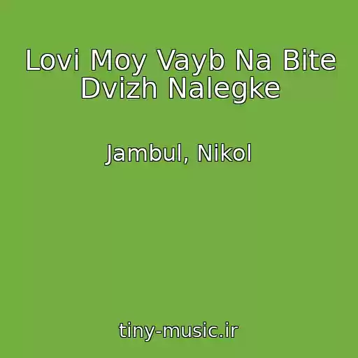 کاور آهنگ Lovi Moy Vayb Na Bite Dvizh Nalegke از Jambul, Nikol