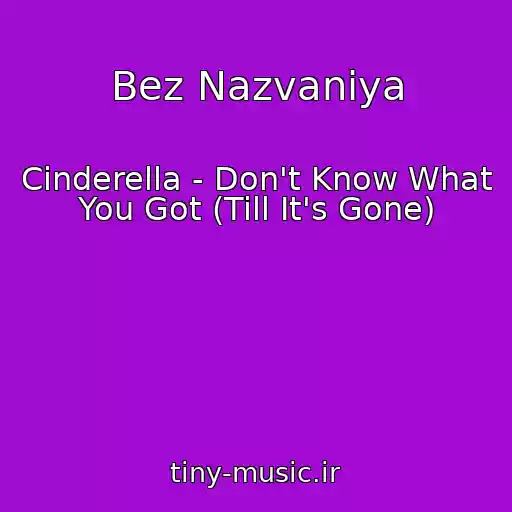 کاور آهنگ Bez Nazvaniya از Cinderella - Don't Know What You Got (Till It's Gone)