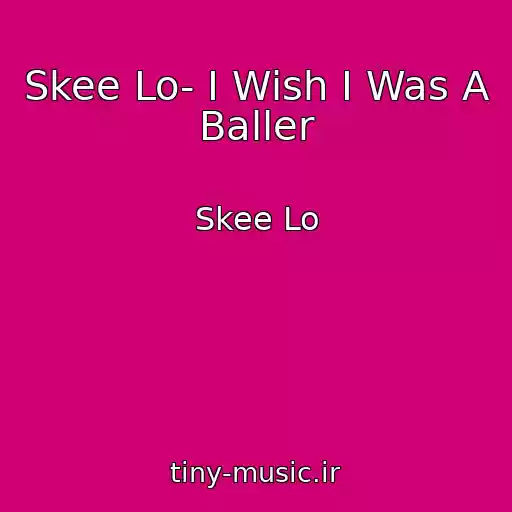 کاور آهنگ Skee Lo- I Wish I Was A Baller از Skee Lo