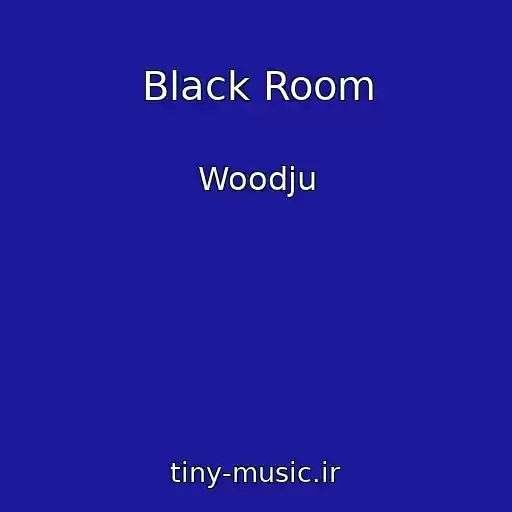 کاور آهنگ Black Room از Woodju