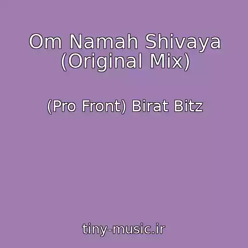 کاور آهنگ Om Namah Shivaya (Original Mix) از (Pro Front) Birat Bitz