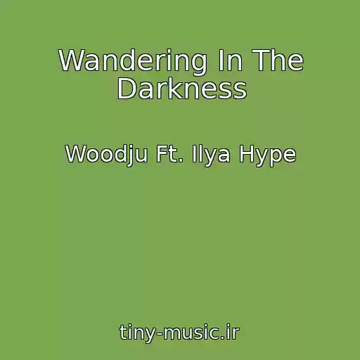کاور آهنگ Wandering In The Darkness از Woodju Ft. Ilya Hype
