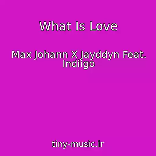 کاور آهنگ What Is Love از Max Johann X Jayddyn Feat. Indiigo