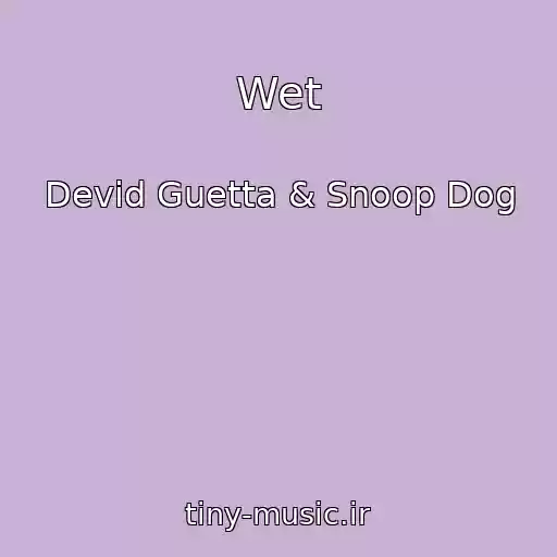 کاور آهنگ Wet از Devid Guetta & Snoop Dog
