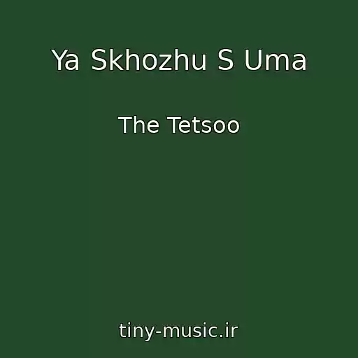 کاور آهنگ Ya Skhozhu S Uma از The Tetsoo