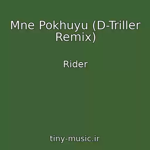 کاور آهنگ Mne Pokhuyu (D-Triller Remix) از Rider
