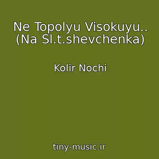 کاور آهنگ Ne Topolyu Visokuyu.. (Na Sl.t.shevchenka) از Kolіr Nochі
