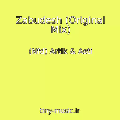 کاور آهنگ Zabudesh (Original Mix) از (Nfd) Artik & Asti