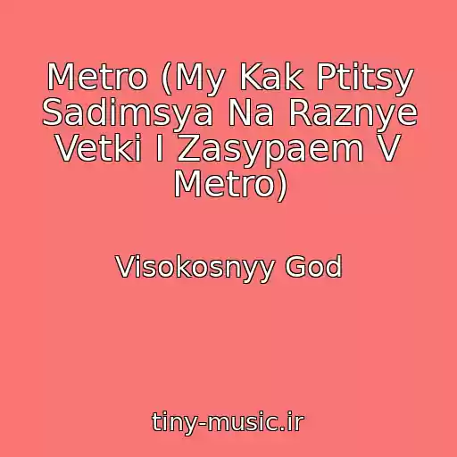 کاور آهنگ Metro (My Kak Ptitsy Sadimsya Na Raznye Vetki I Zasypaem V Metro) از Visokosnyy God