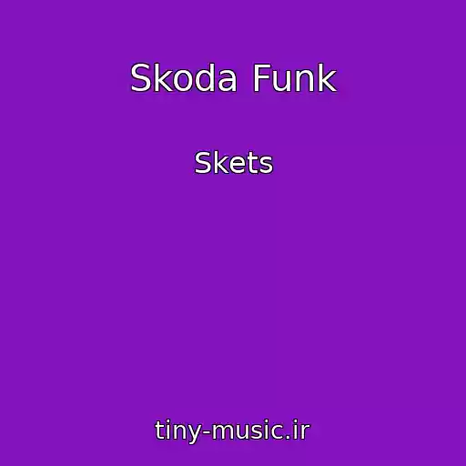 کاور آهنگ Skoda Funk از Skets
