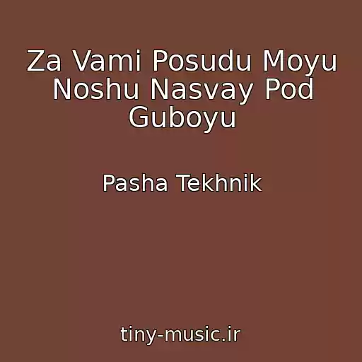 کاور آهنگ Za Vami Posudu Moyu Noshu Nasvay Pod Guboyu از Pasha Tekhnik