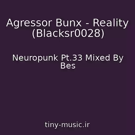 کاور آهنگ Agressor Bunx - Reality (Blacksr0028) از Neuropunk Pt.33 Mixed By Bes