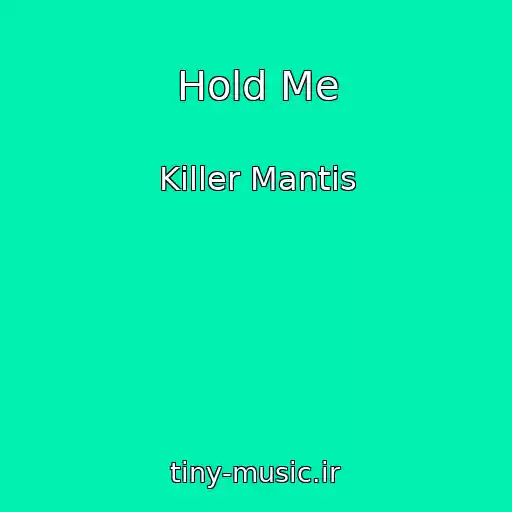 کاور آهنگ Hold Me از Killer Mantis