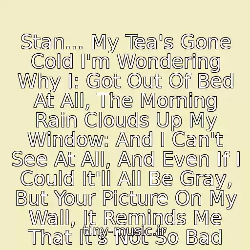 کاور آهنگ Stan... My Tea's Gone Cold I'm Wondering Why I: Got Out Of Bed At All, The Morning Rain Clouds Up My Window: And I Can't See At All, And Even If I Could It'll All Be Gray, But Your Picture On My Wall, It Reminds Me That It's Not So Bad از Eminem
